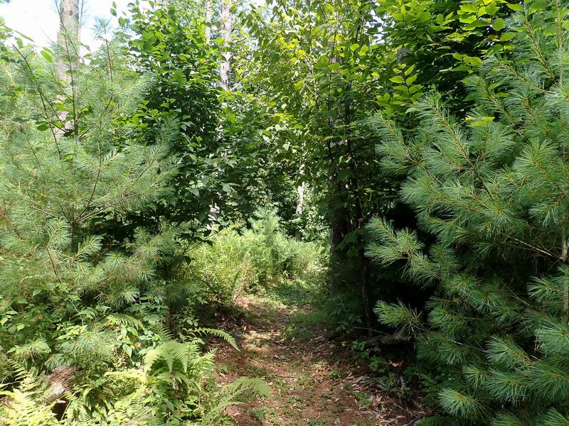 P7301156 TG6MLR2023.jpg