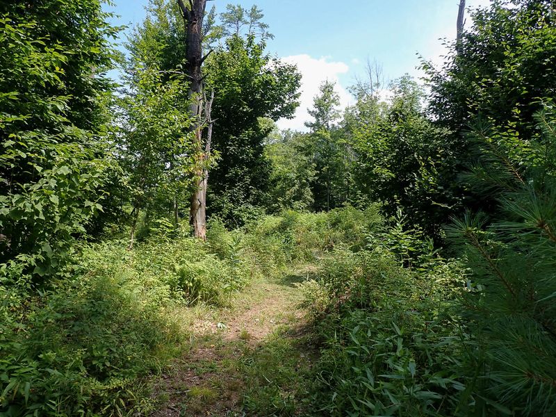 P7301157 TG6MLR2023.jpg