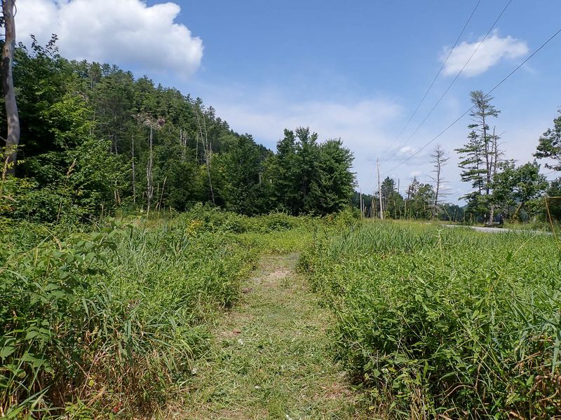 P7301162 TG6MLR2023.jpg
