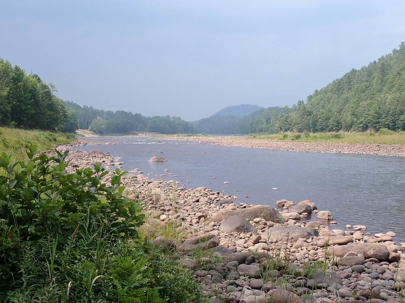 P8051188 TG6MLR2023.jpg