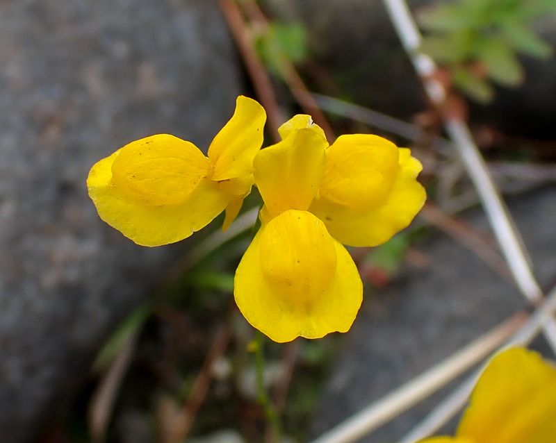 P8051191 TG6MLR2023.jpg