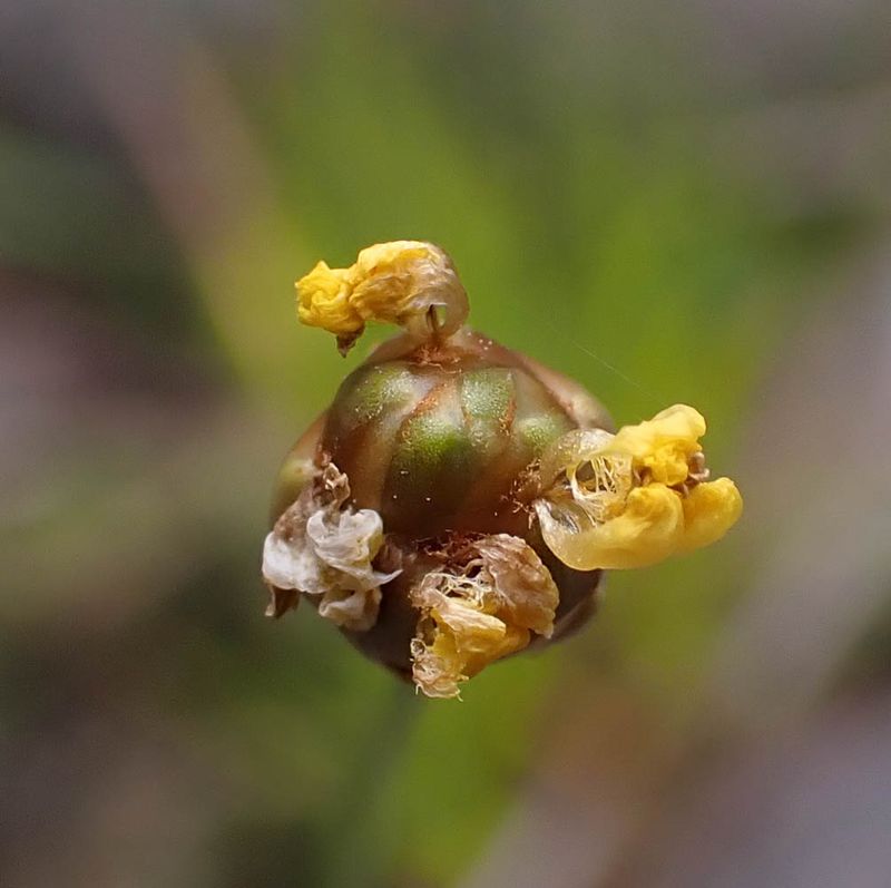 P8051195 TG6MLR2023.jpg