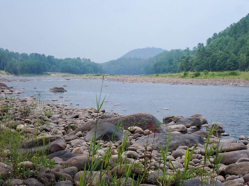 P8051201 TG6MLR2023.jpg