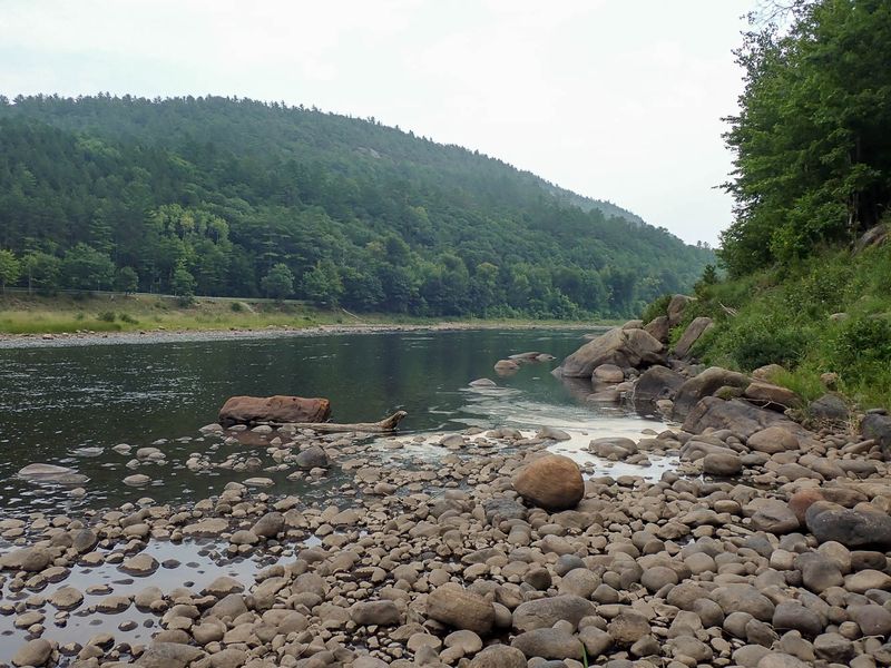 P8051205 TG6MLR2023.jpg