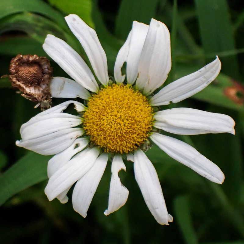 P8181249 TG6MLR2023.jpg
