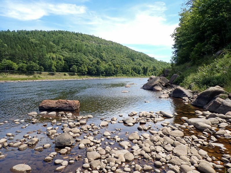 P8181286 TG6MLR2023.jpg