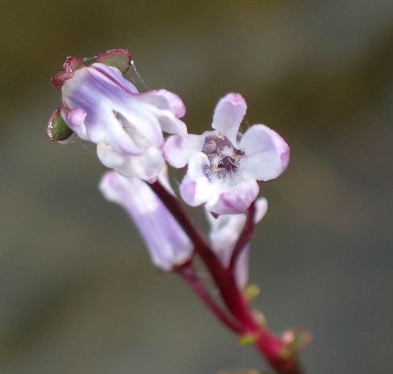 P9051371 TG6MLR2023.jpg