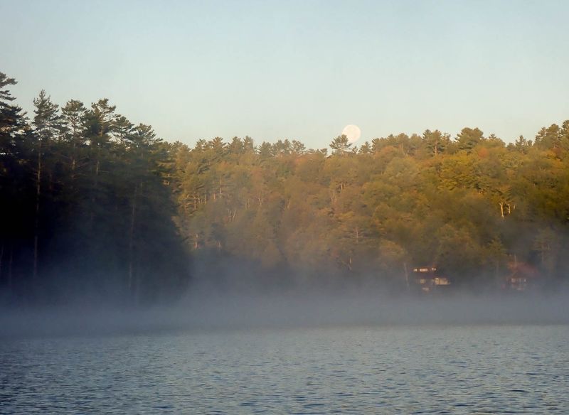 P9081423 TG6MLR2023.jpg