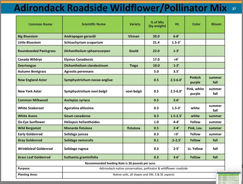 Adirondack Roadside Polinator Seed Mix.jpg