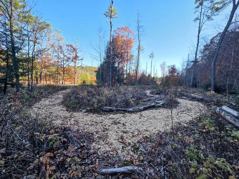 20251028_151526 MLR2023.jpg