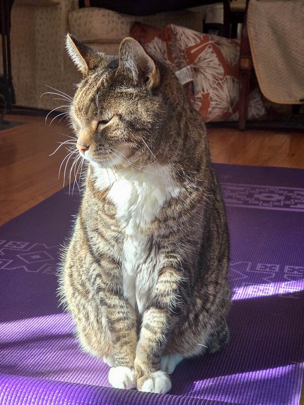 20251106_095914 MLR2023.jpg