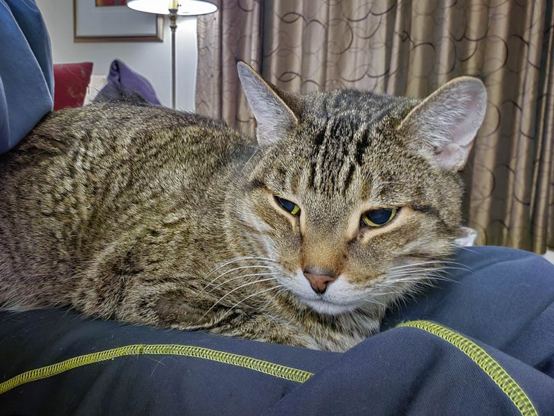 20251114_190651 MLR2023.jpg