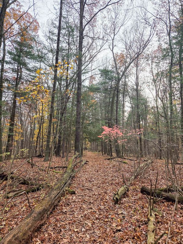 20251115_150619 MLR2023.jpg