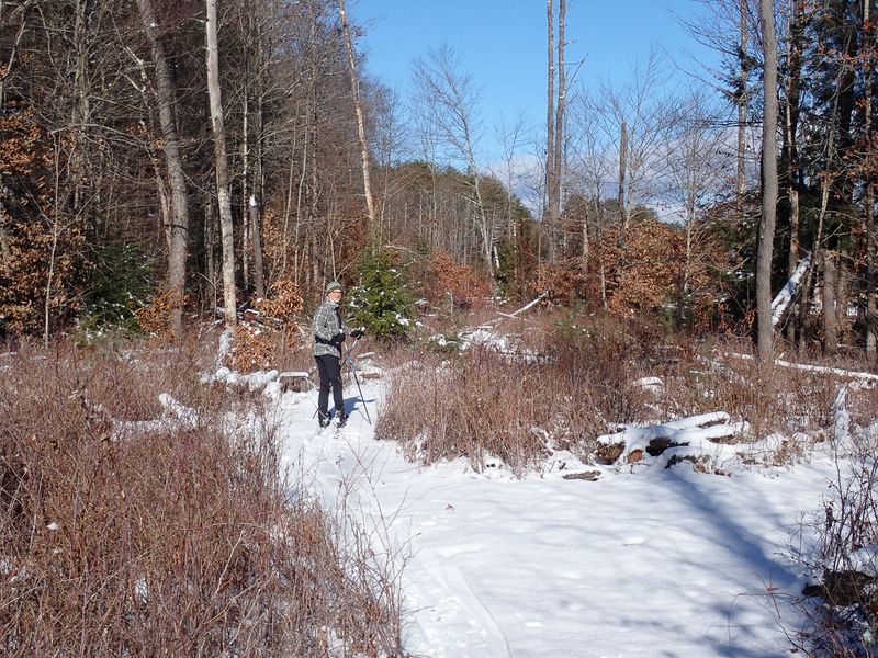 PC011566 TG6MLR2023.jpg