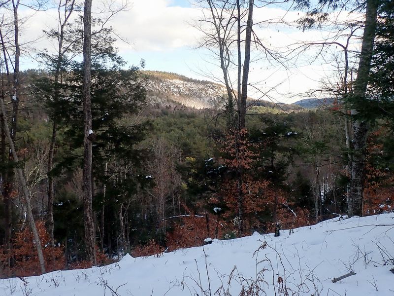 PC141592 TG6MLR2023.jpg