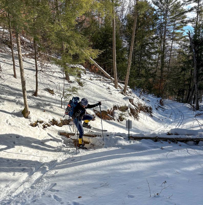 IMG_0943 MLR2023.jpg