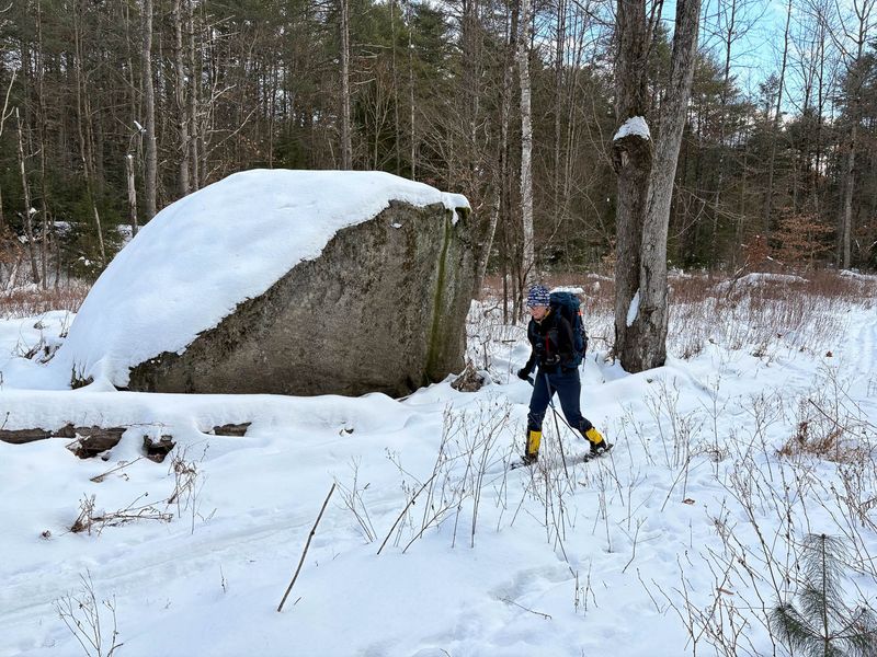 IMG_0957 MLR2023.jpg