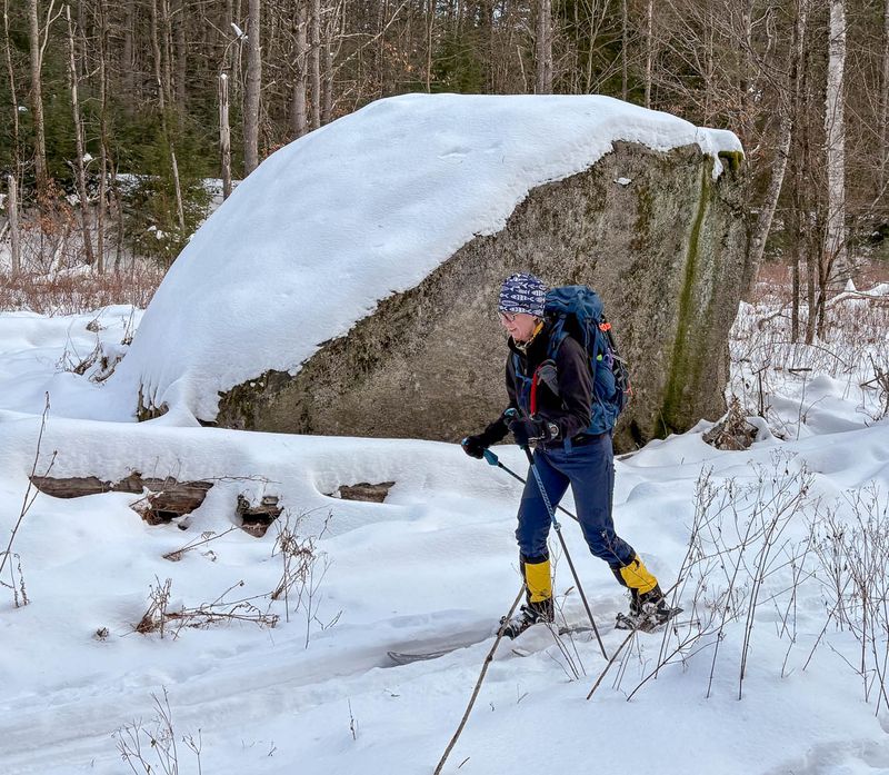 IMG_0959 MLR2023.jpg