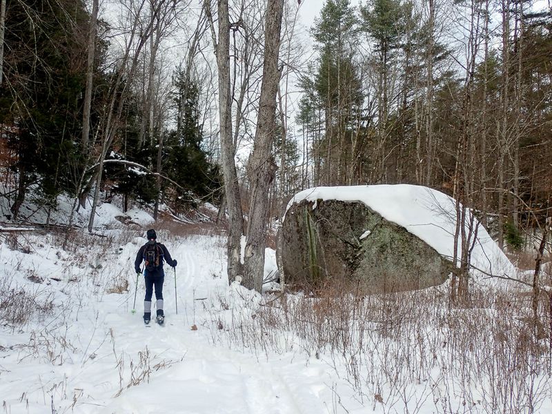 PC141598 TG6MLR2023.jpg