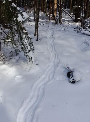 g13/96/496896/3/173268728.fd30c878.JPEG