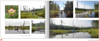 page38F MLR2022.jpg