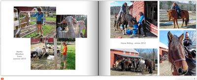 AWOL Picture Book 2010 - 2017
