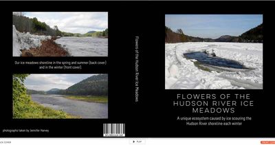 Ice Meadow Flower Book - 02/23