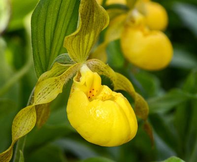 DSC_9978 MLR2023.jpg