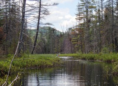 P6210804 TG6MLR2023.jpg