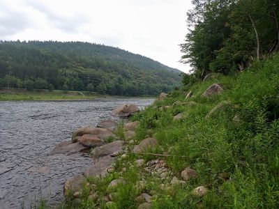 P6291380 TG6MLR2023.jpg