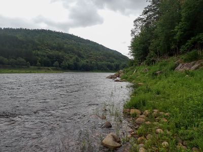 P7031500 TG6MLR2023.jpg