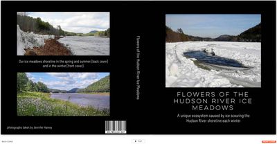 Ice Meadows Flower Book 8/23