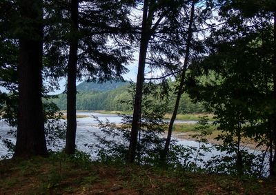 P8292761 TG6MLR2023.jpg