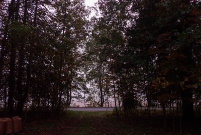 g13/96/496896/3/174021101.5a781ca7.JPEG