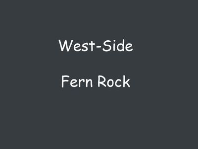 Fern Rock.jpg