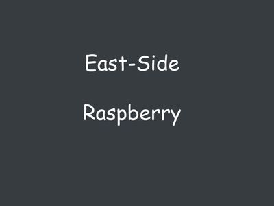 Raspberry and Blackberry - July 30, 2025
