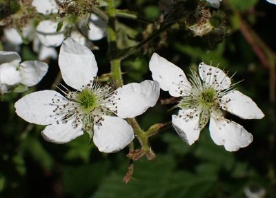 P6016236 TG6MLR2023.jpg