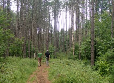g13/96/496896/3/174654928.1f0b7565.JPEG