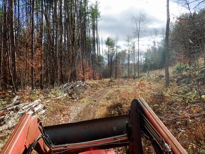 PB078798 TG6MLR2023.jpg