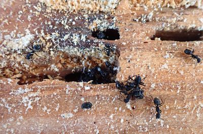 PB248889 TG6MLR2023.jpg