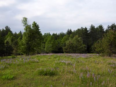 g13/96/496896/3/175492982.4221e1cb.JPEG