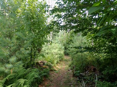 g13/96/496896/3/175669273.ff3e6044.JPEG