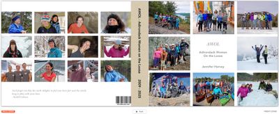 AWOL Picture Book 2010 - 2025