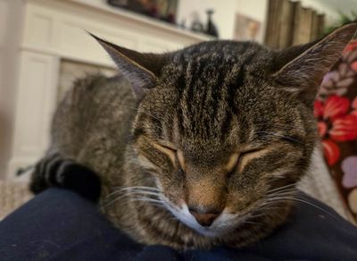 20251023_191336 MLR2023.jpg