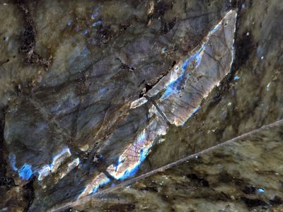 20251026_180545 MLR2023.jpg