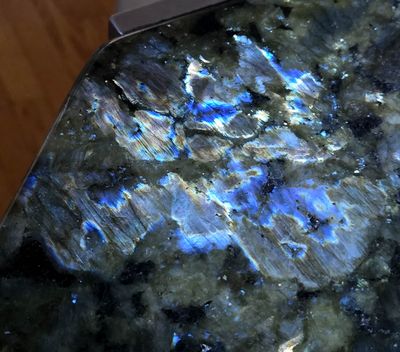 20251102_160520 MLR2023.jpg