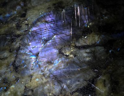 20251102_160550 MLR2023.jpg