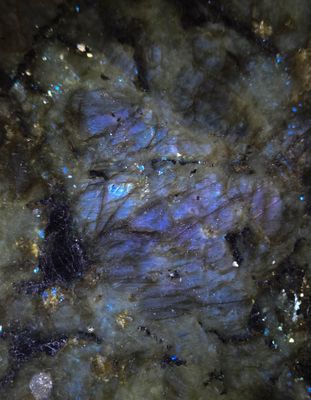 20251102_201425 MLR2023.jpg