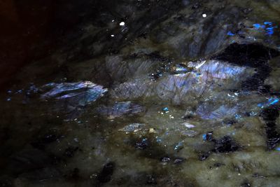 20251102_201803 MLR2023.jpg