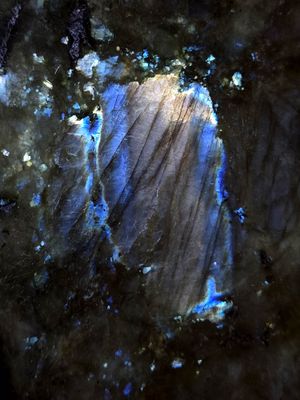 20251102_205246 MLR2023.jpg